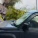 VIDEO: Reportera es atropellada mientras informaba sobre las lluvias en Monterrey.