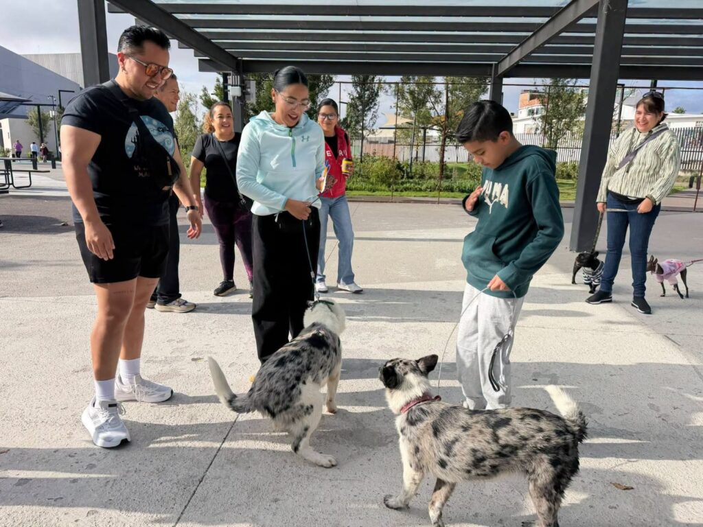 SEPH promueve bienestar animal con caminata “Dejando Huella”