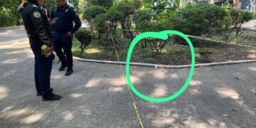 Hallan más cebos tóxicos en Parque España y crece el miedo en la Condesa, CDMX