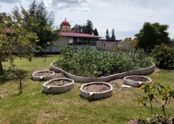 Cobaeh avanza en la creación de jardines polinizadores