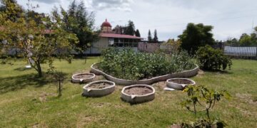 Cobaeh avanza en la creación de jardines polinizadores