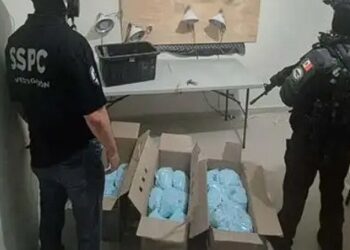 El Flaco: fentanilo y presuntos nexos con Morena