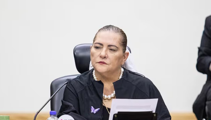 Taddei deja el INE; Diputados activa su relevo