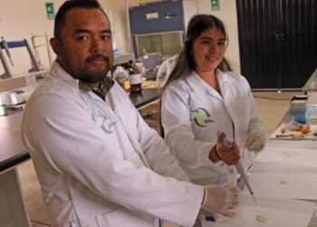 ITESHU transforma residuos de maguey en una alternativa al mixiote natural