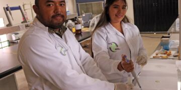 ITESHU transforma residuos de maguey en una alternativa al mixiote natural